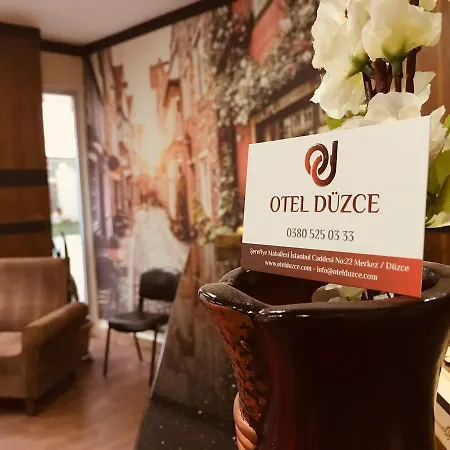 Hotel Duzce 2* Duzce